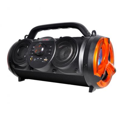 Portable Speaker T13